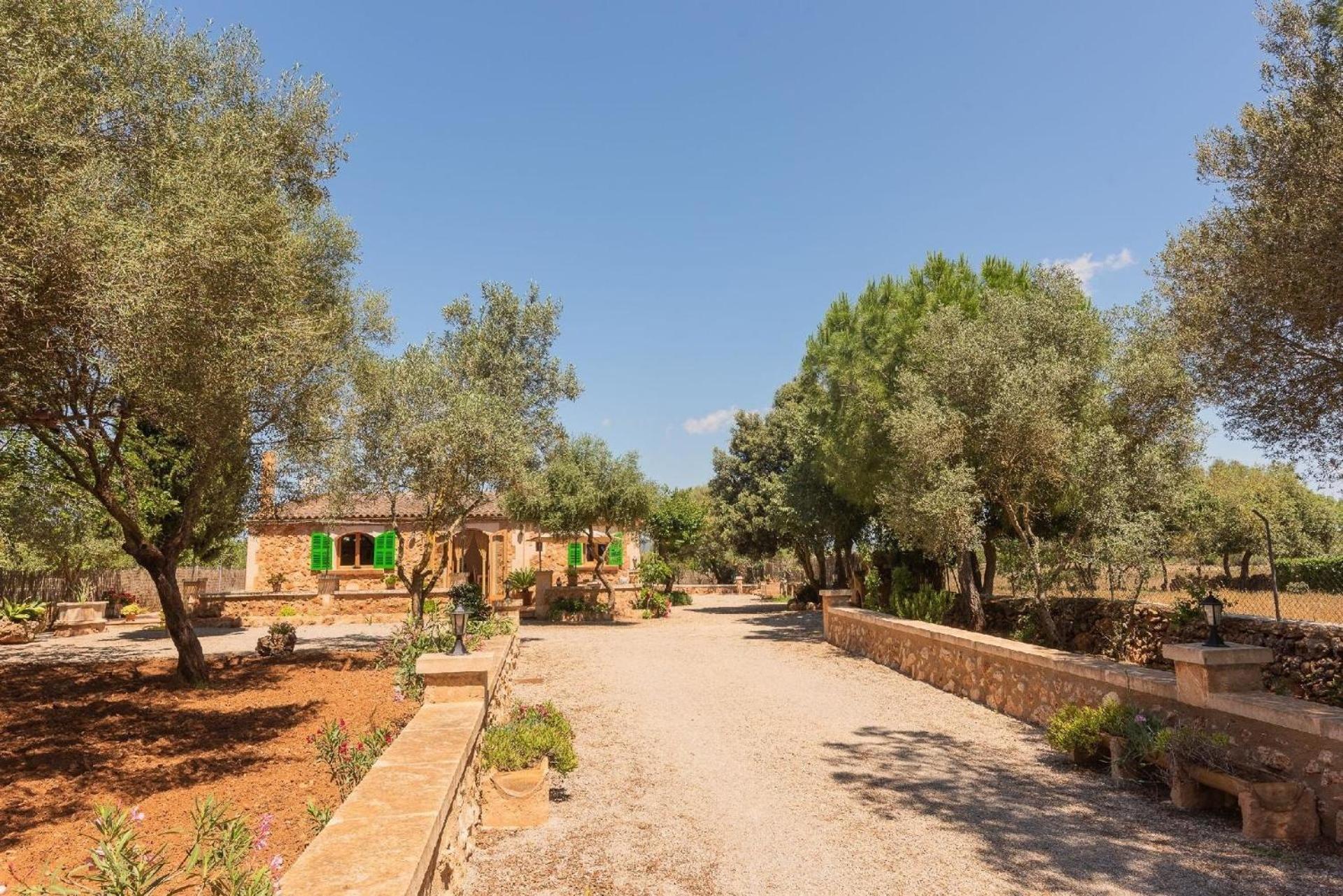 Es Tres Pins Campos (Mallorca)